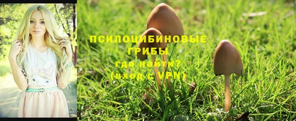 прущая мука Арсеньев
